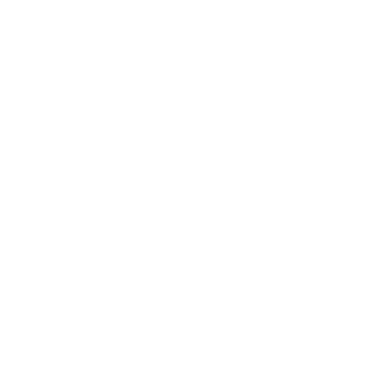 Pioneer Management Consulting logo